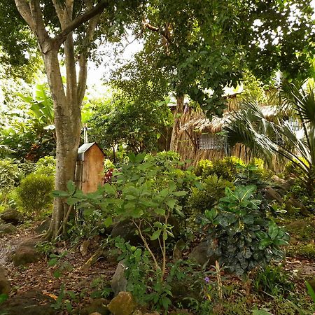 El Bamboo Cabins Balgue Exteriér fotografie