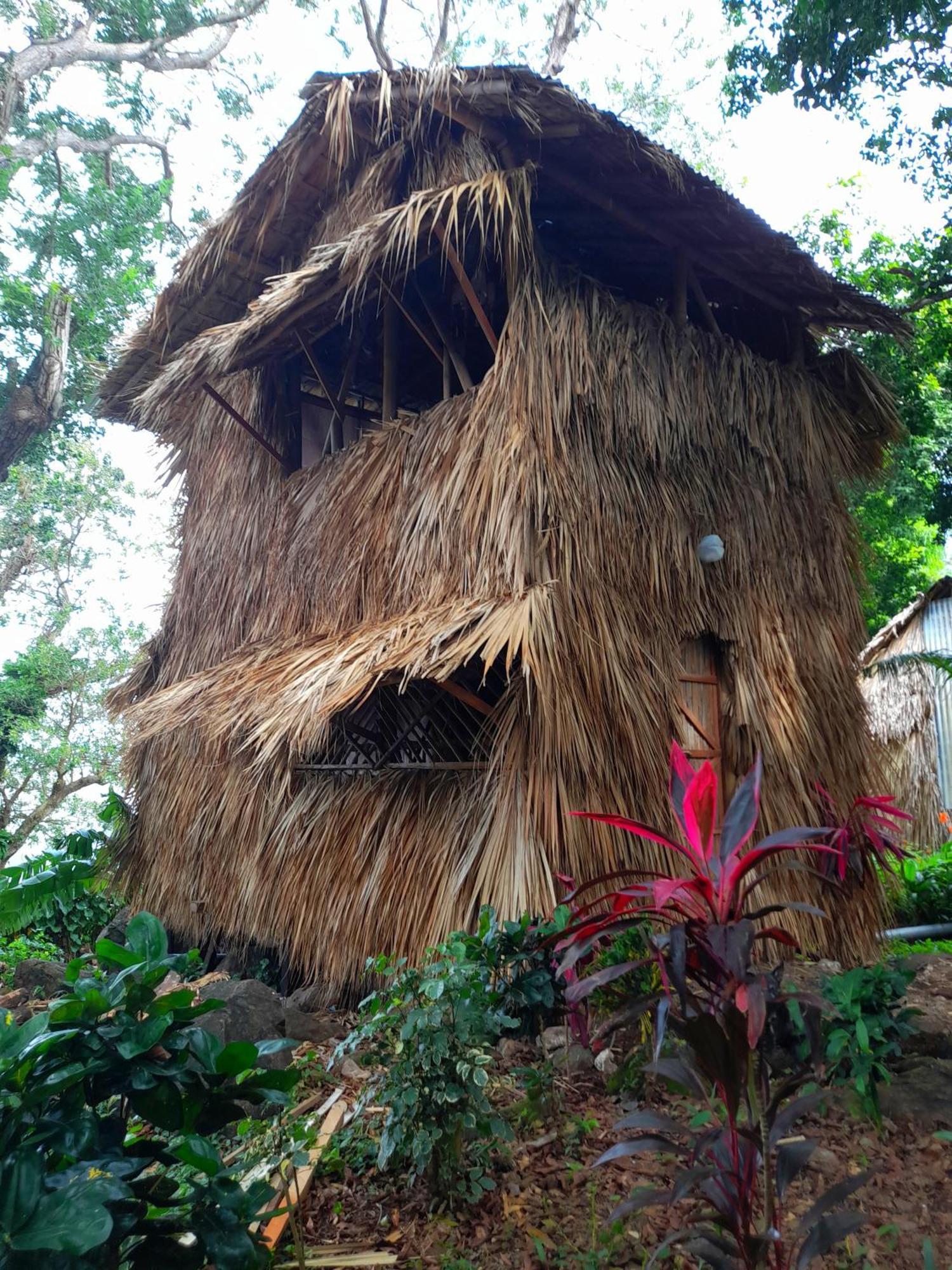 El Bamboo Cabins Balgue Exteriér fotografie