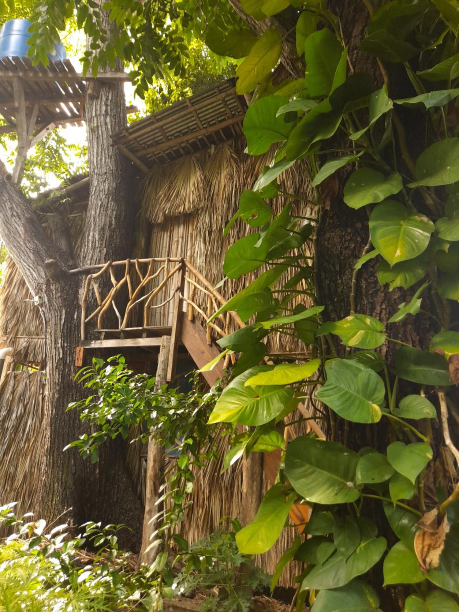 El Bamboo Cabins Balgue Exteriér fotografie