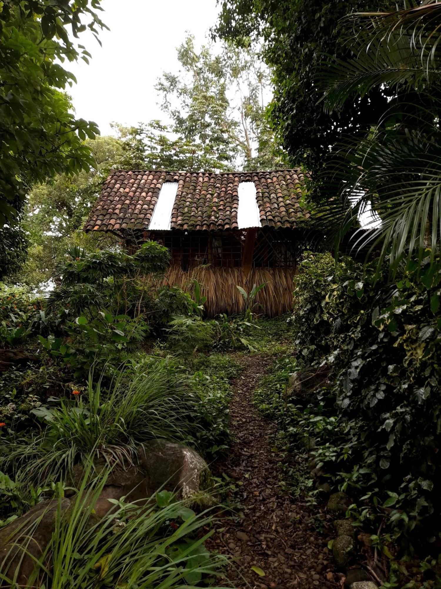 El Bamboo Cabins Balgue Exteriér fotografie