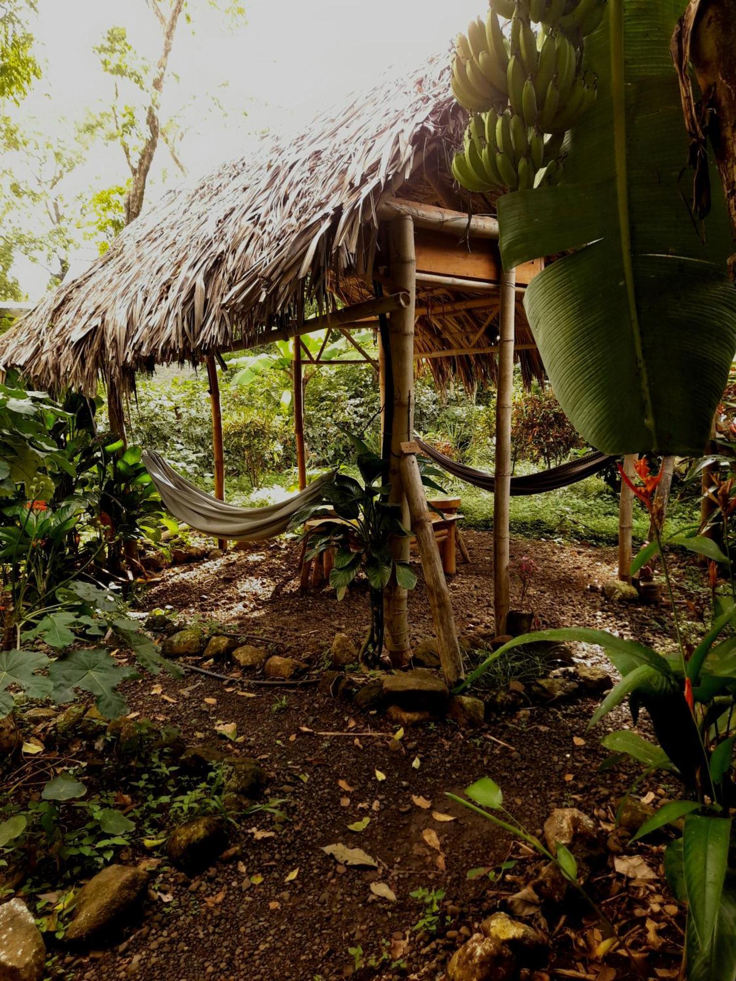 El Bamboo Cabins Balgue Exteriér fotografie