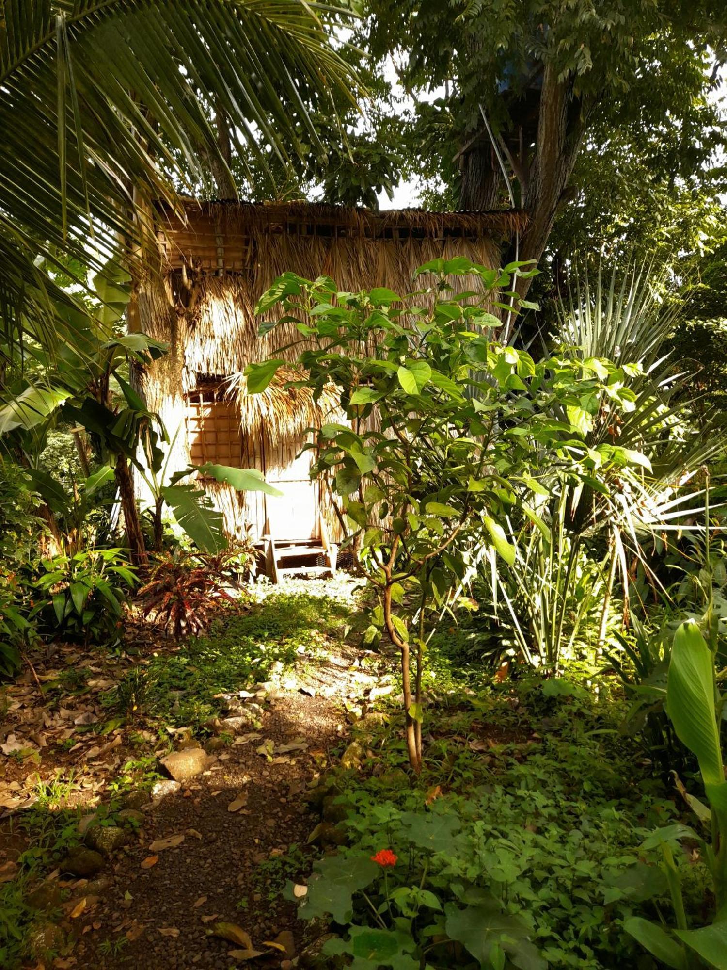 El Bamboo Cabins Balgue Exteriér fotografie
