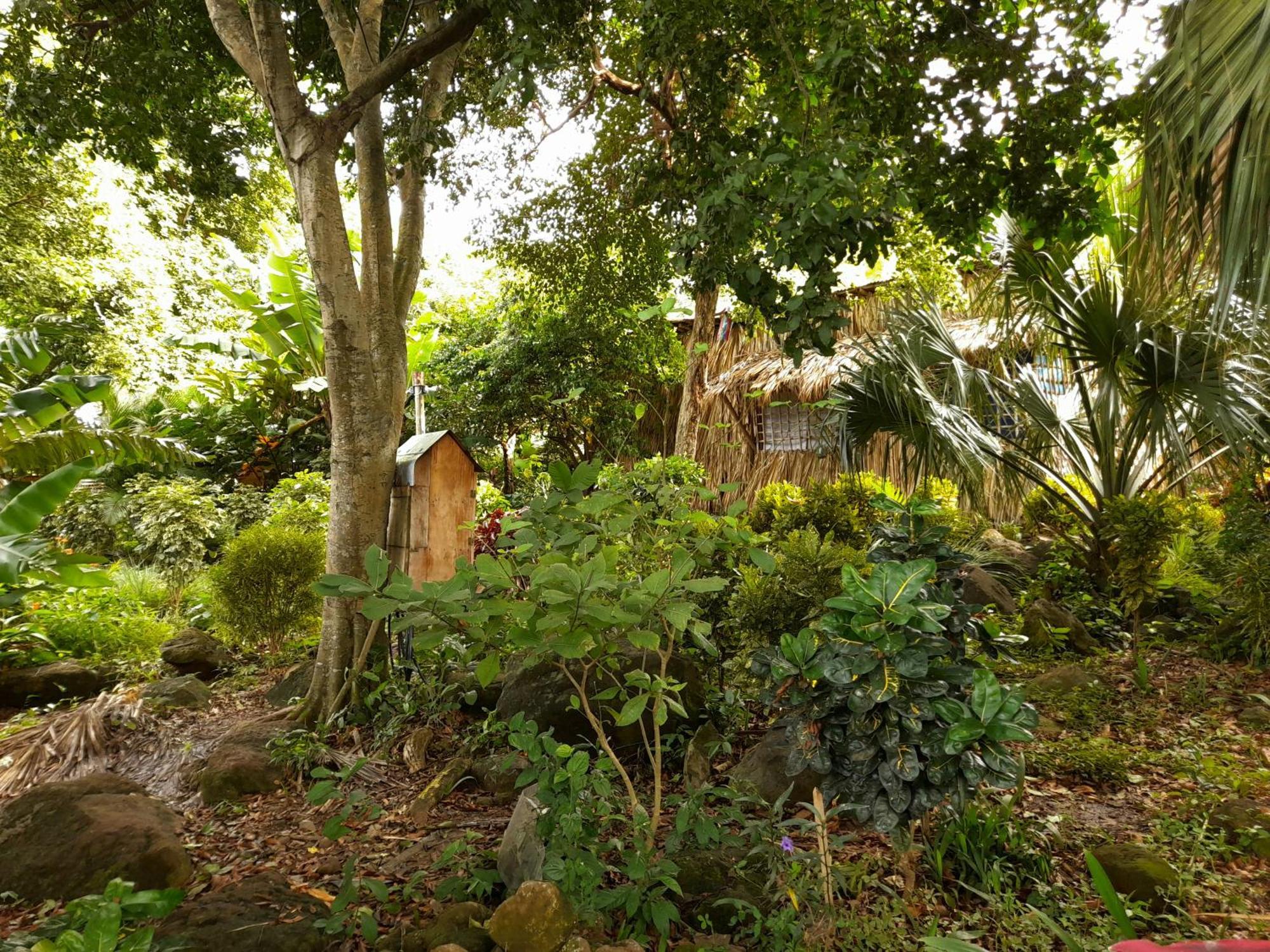 El Bamboo Cabins Balgue Exteriér fotografie